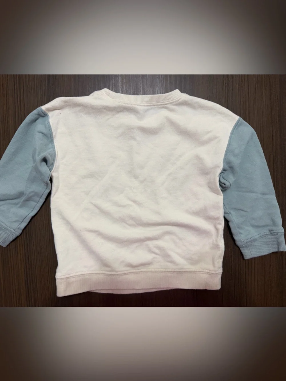 Carter’s Boys Sweatshirt and Pants Set
